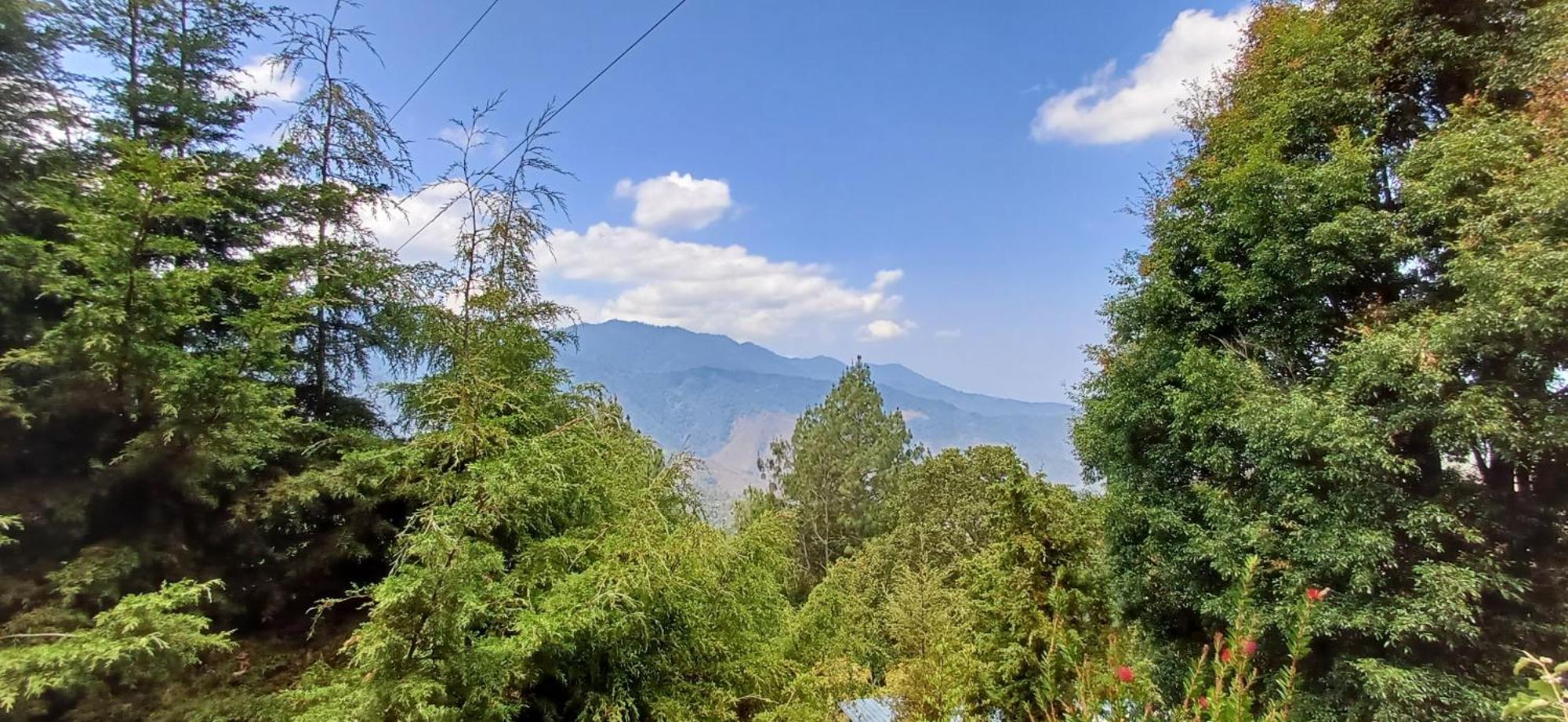 Cabanas Pacifico San Jose del Pacifico Dış mekan fotoğraf